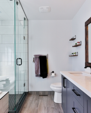 Glass Shower Door